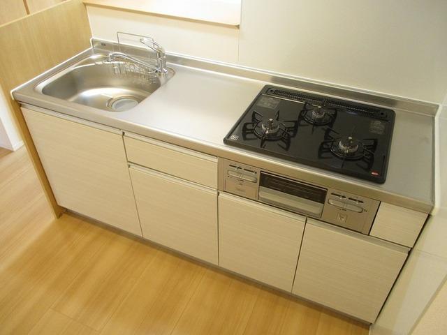D-ROOM East（201） キッチン