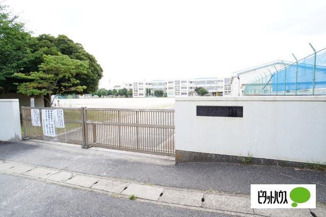 市原市立国分寺台東小学校：481m