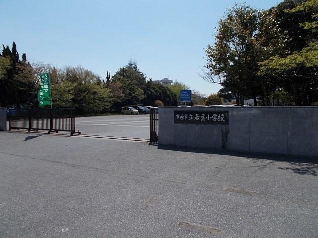 市立若葉小学校：500m