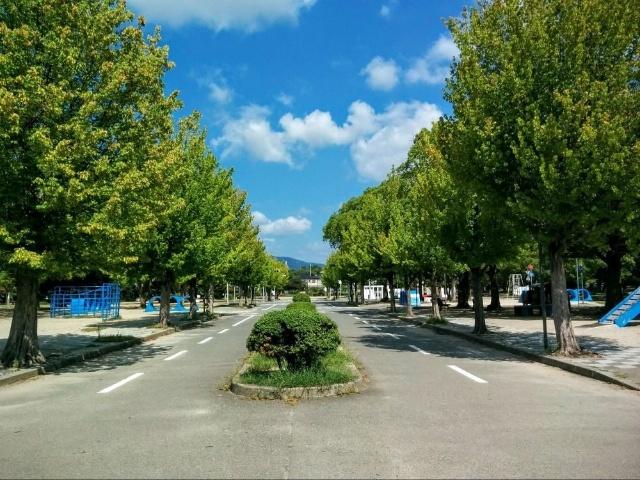 周辺環境画像