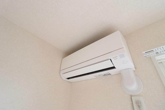 AALII（アアリイ）　Ⅲ（103） 部屋画像