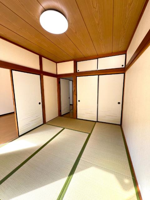 第１パセイニアハイツ（205） その他部屋・スペース
