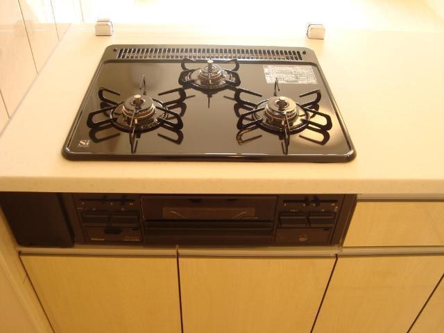 スプリングチェリーⅤ 部屋画像