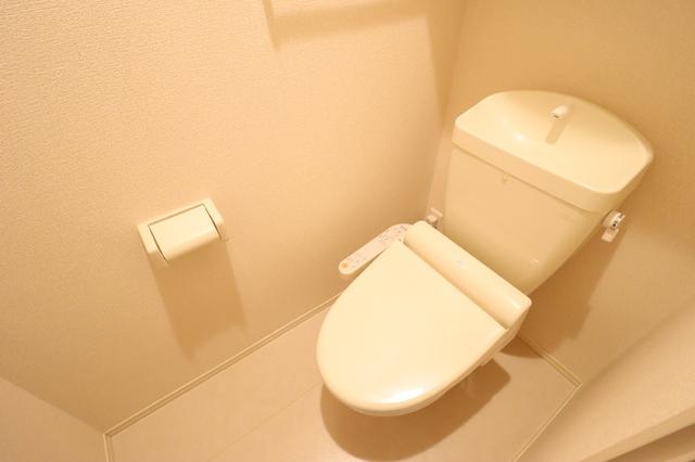 サニーフォレスト　Ｂ棟（B102） 部屋画像