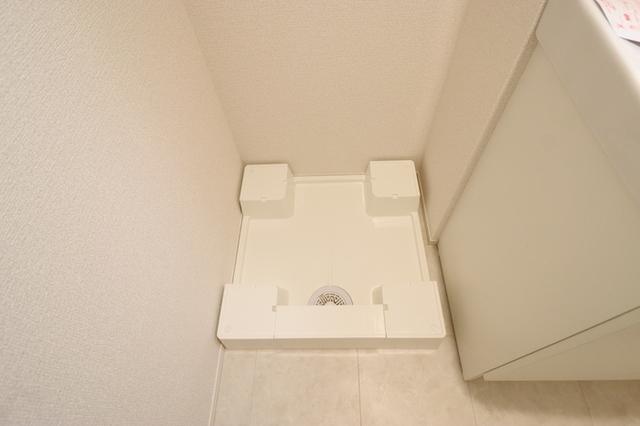 D-SOLACE祐光　B（302） 部屋画像