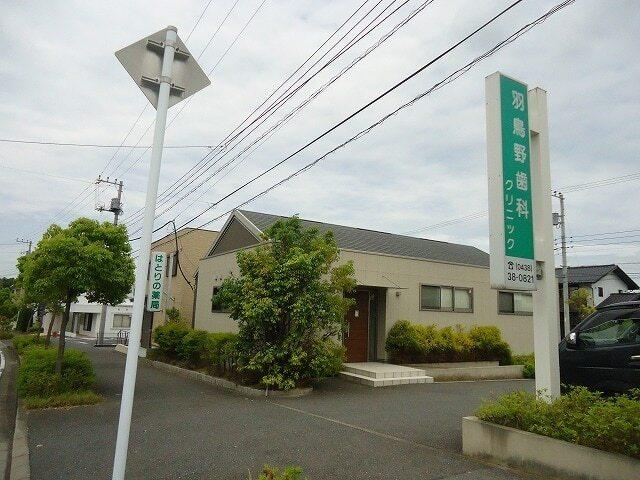 羽鳥野歯科クリニック：600m