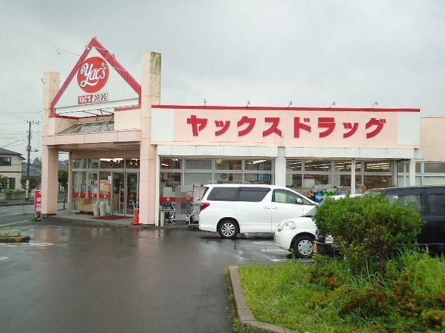 ヤックスドラッグ袖ヶ浦店：1000m
