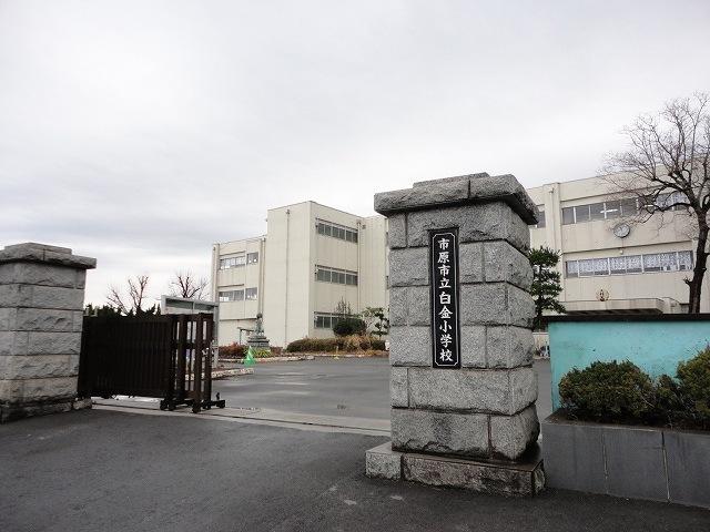 市立白金小学校：700m