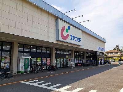 カワチ薬品：1000m