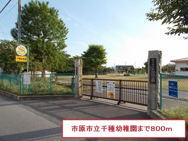 市原市立千種幼稚園：800m