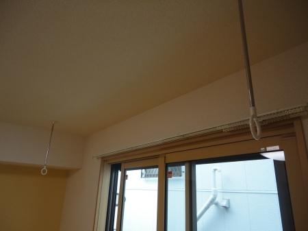 オーキッド（106） その他