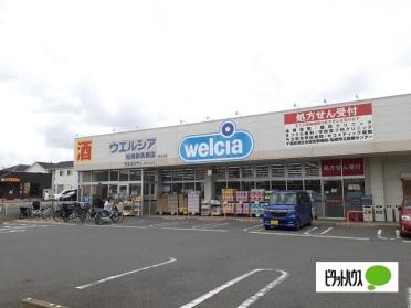 ウエルシア船橋新高根店：364m