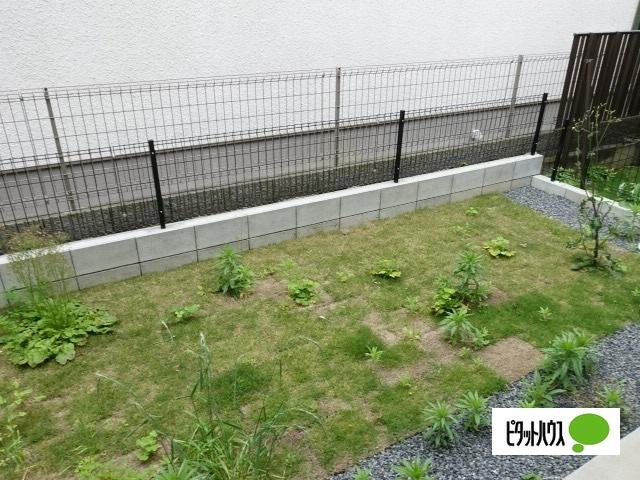船橋市習志野1丁目戸建（1） 庭