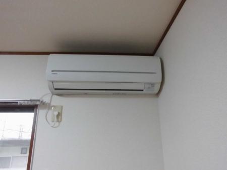 パンプキン長作（101） その他