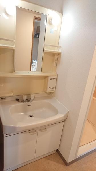 ルーチェ緑が丘A棟（107） 洗面