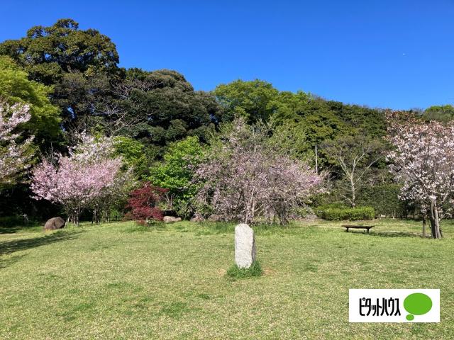 実籾本郷公園：278m