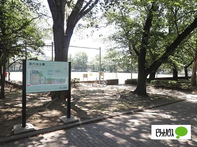 薬円台公園：1091m