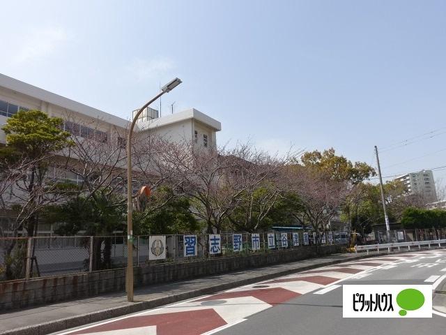習志野市立谷津南小学校：540m
