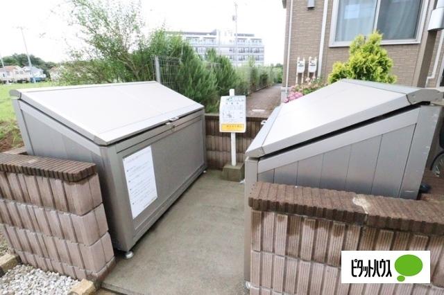 メタセコイア（106） その他