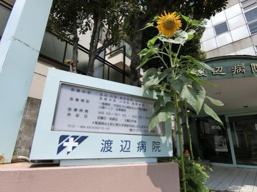 医療法人社団渡辺病院：991m