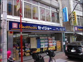 くすりセイジョー武蔵新田店：734m