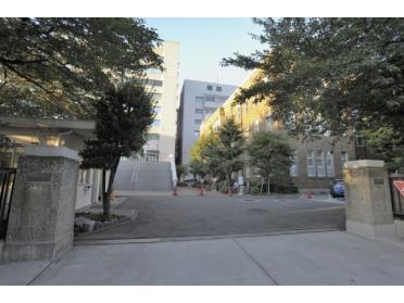 東邦大学医学メディアセンター看護学科図書室：268m