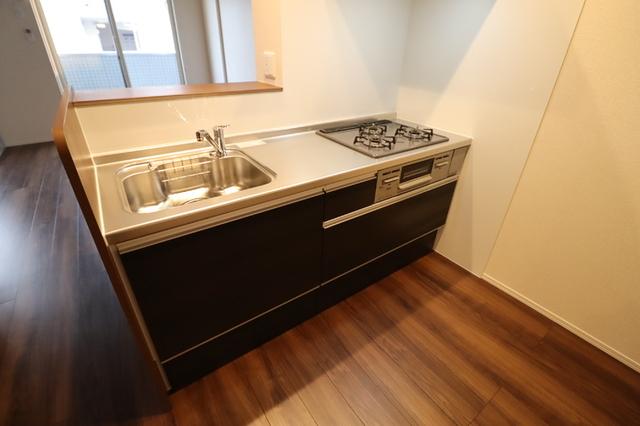 メゾンヴィクトワール梶ヶ谷（305） 部屋画像