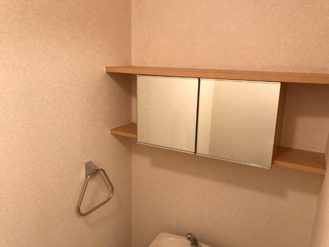 ウェルネスA 収納