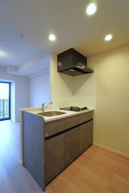 シーズンフラッツ大森北三丁目（701） 部屋画像