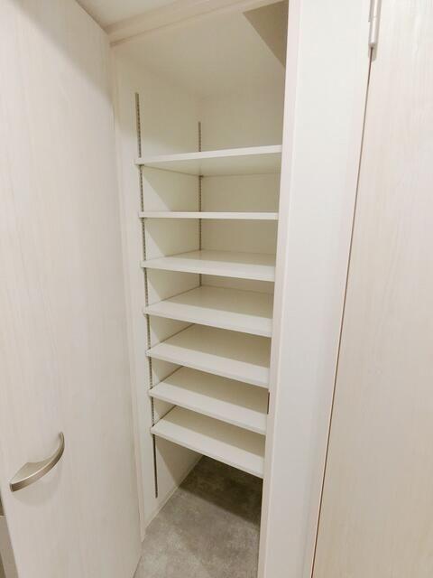 クリスタルパレス蒲西（401） その他