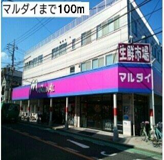 マルダイ：100m