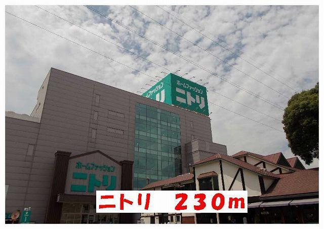 ニトリ：230m