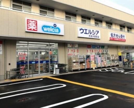 ウエルシア大田大森西店：258m