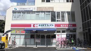 ココカラファイン南雪谷店：850m