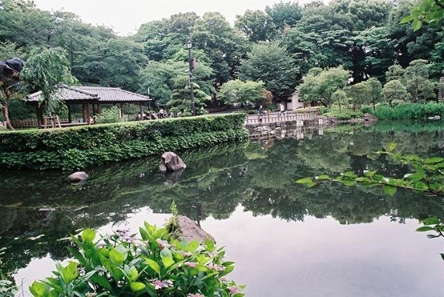 戸越公園：322m