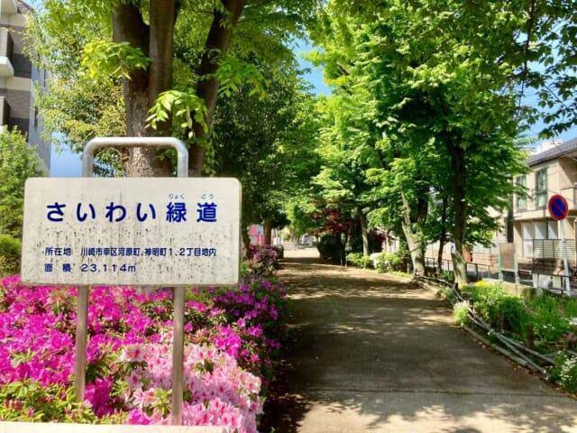 さいわい緑道：704m