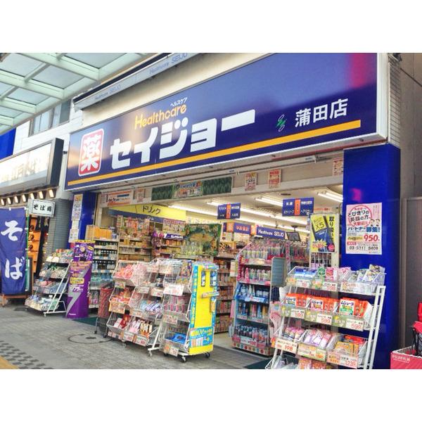 くすりセイジョー蒲田店：493m