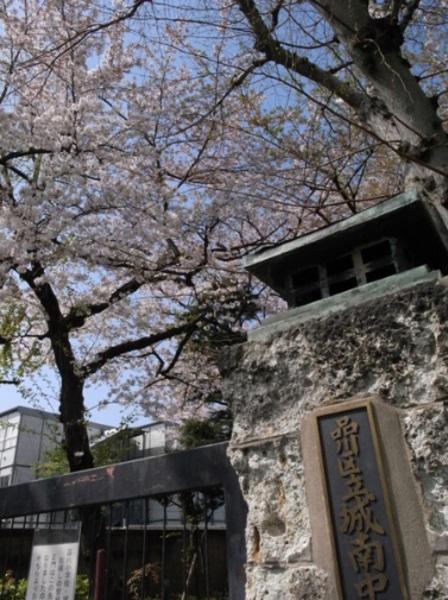 中学校