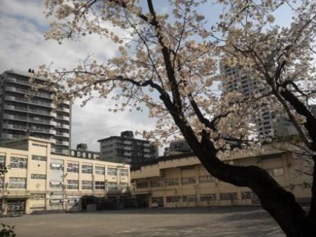 小学校