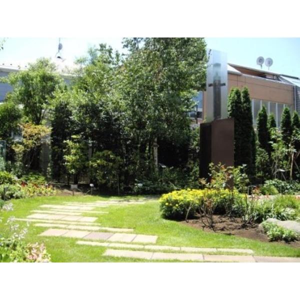 公園