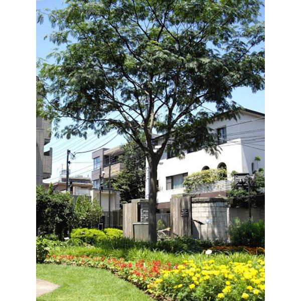 公園