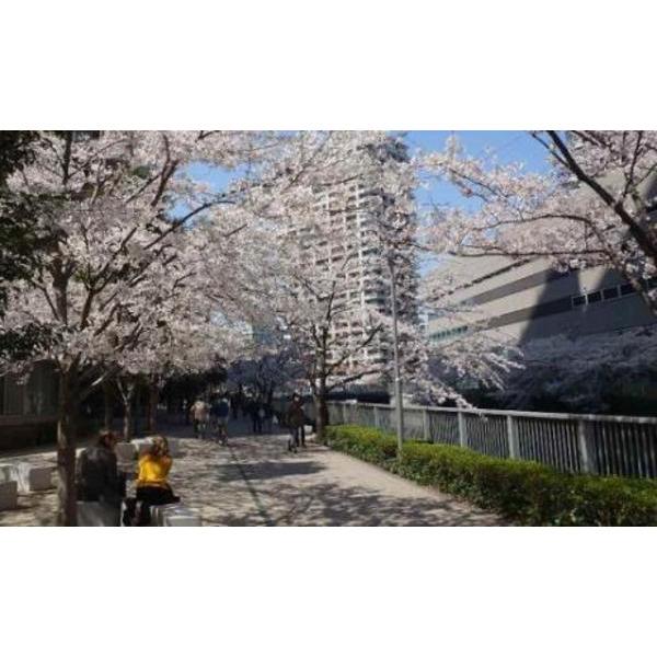 公園