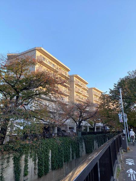 東急ドエルアルス石川台　A棟 外観