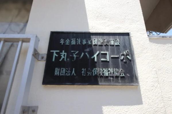 下丸子ハイコーポ 物件画像