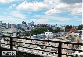 ルイシャトレ目黒不動前 眺望