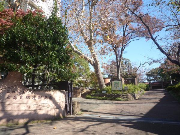 公園