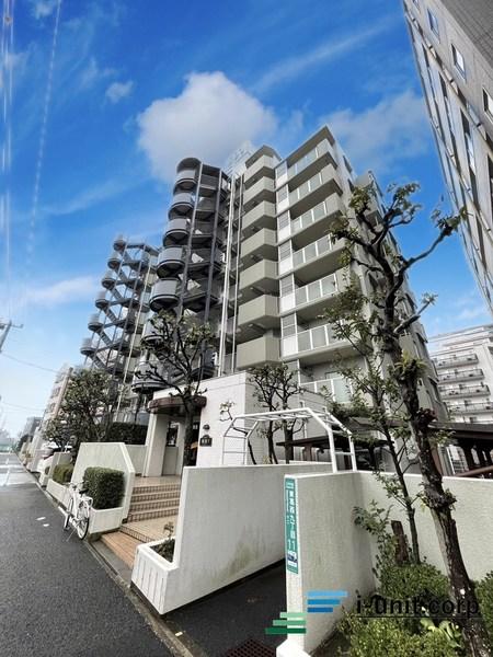 南向きにつき陽当たり良好。