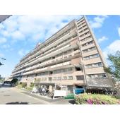 5階のお部屋になります。