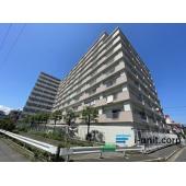 北東向きのお部屋です。