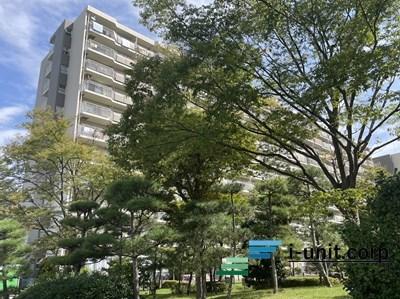 日当たり良好。